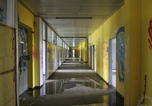 img 3780