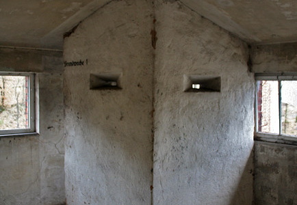 img 7625
