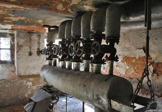 img 0952