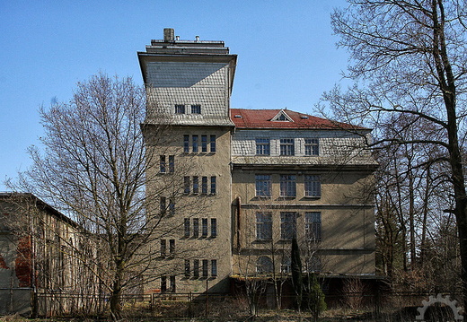img 0974