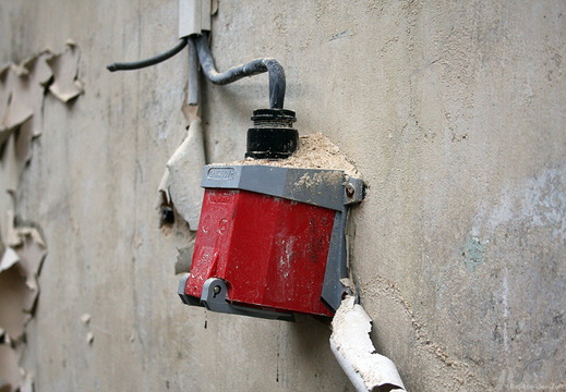 img 0223