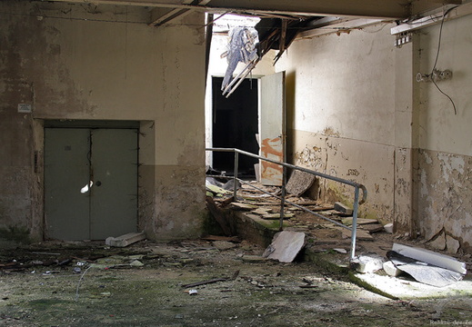 img 0617