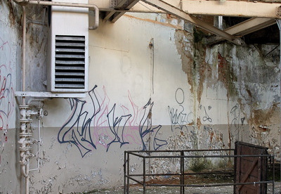 img 0626