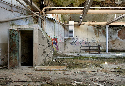 img 0619