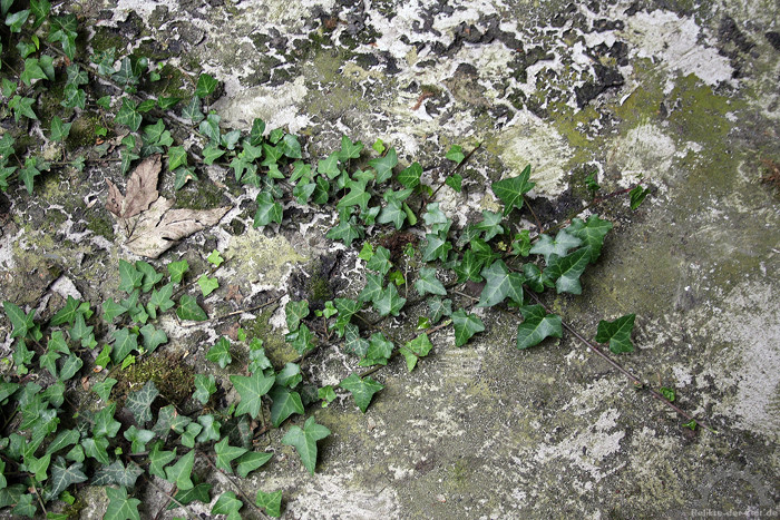 img_5523.jpg